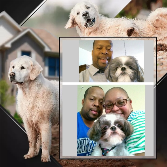 Meet your Posher, Marcus - Picture 5 of 10